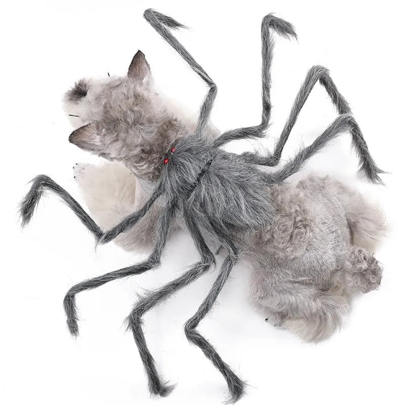 Grey polyester spider Halloween costume worn by a small dog, showing eight draped legs.
