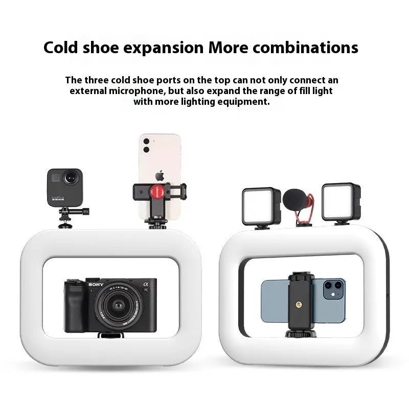 Mobile phone fill-in light kit with adjustable colour temperature display and metallic desktop bracket