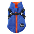 Polyester dog coat with chest strap in blue, shown on a model dog.