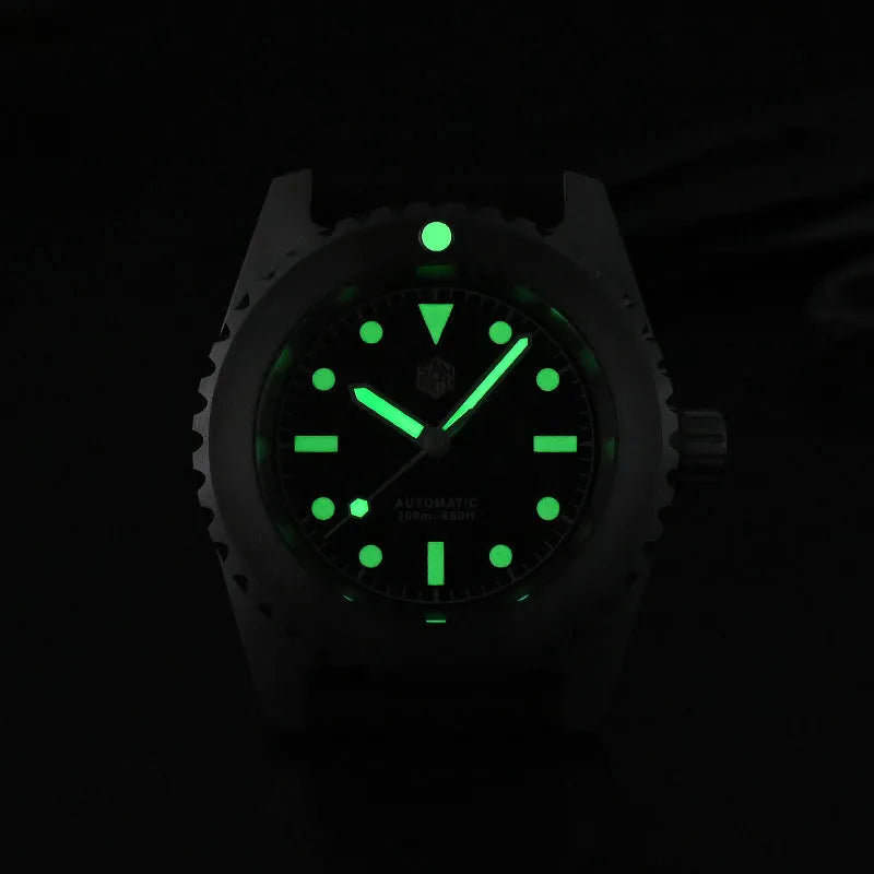 Men's stainless steel automatic diving watch with black dial, green luminous markers, leather strap, 41mm case, 200m water resistant