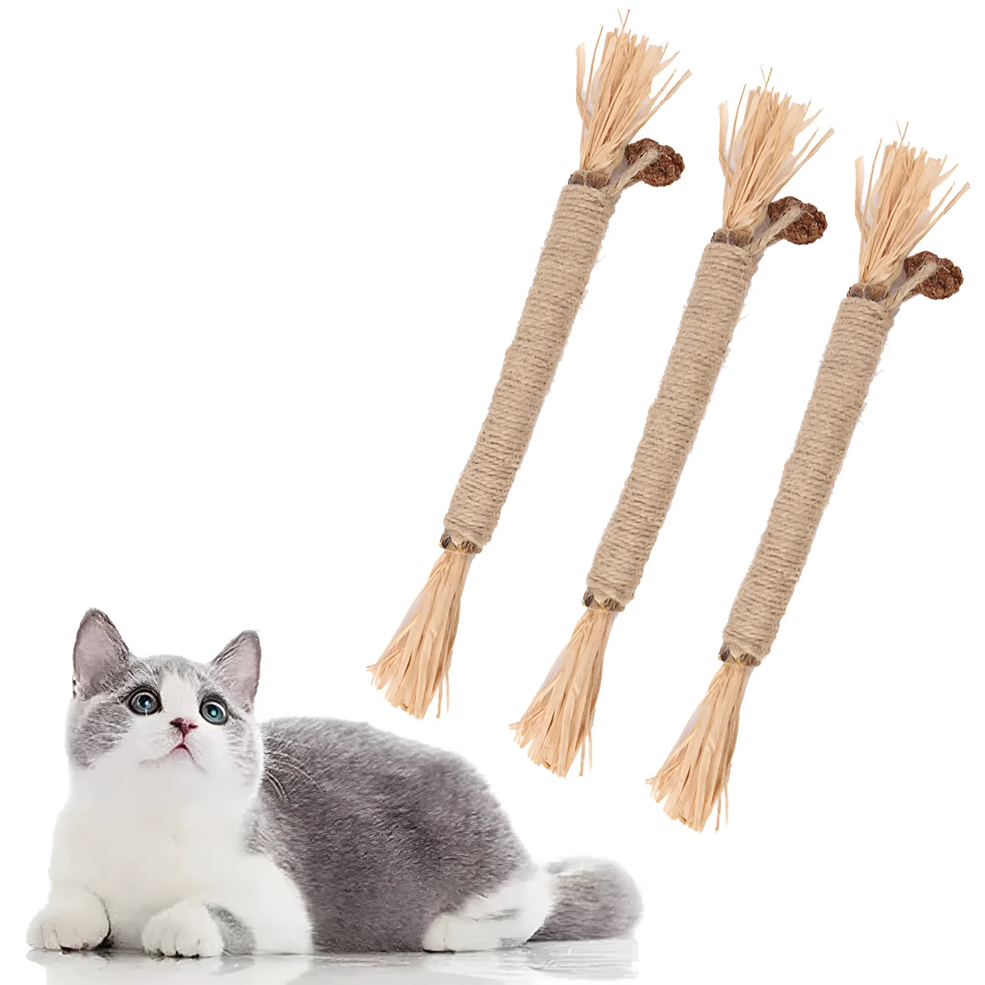 Three natural silvervine cat chew sticks with sisal rope and raffia for dental care and teeth cleaning