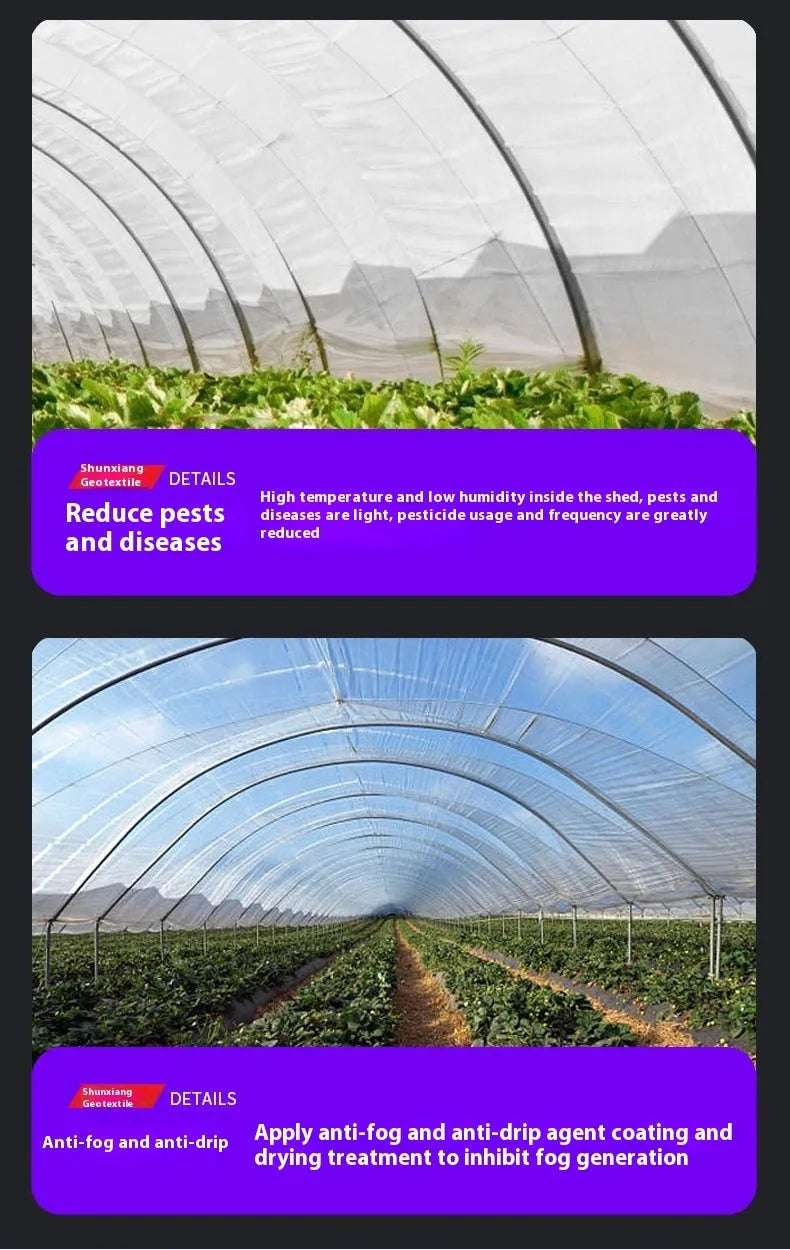 Plastic greenhouse film for vegetable shed insulation in 4x8 metre size