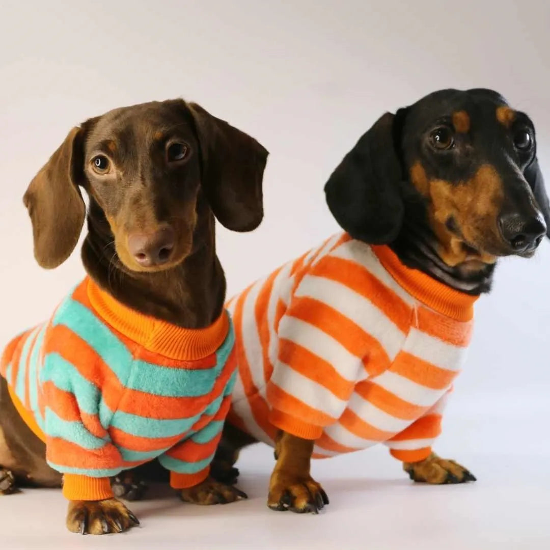 Orange-red and white striped pet sweatshirt with round neck for dogs and cats