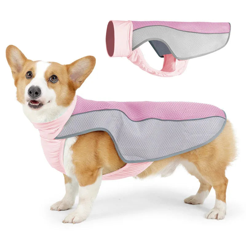 Light grey breathable dog cooling vest for summer heatstroke prevention on a medium-sized dog.