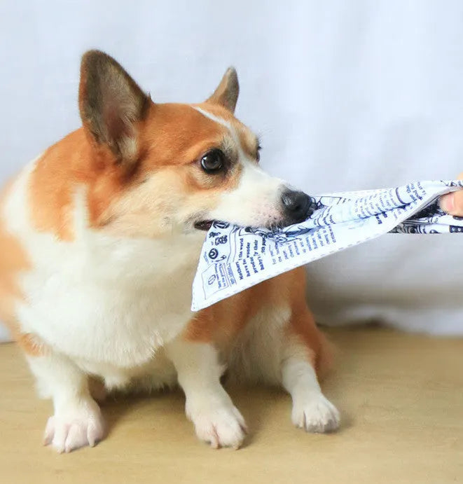 Pet Dog Sound Paper Newspaper Toy crinkle cloth toy in paper newspaper colour on plain background