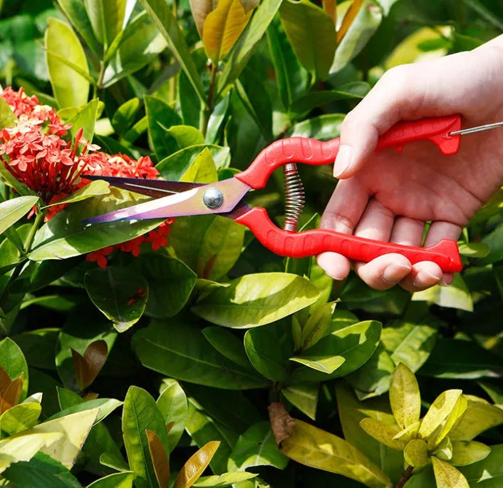 Straight bonsai gardening scissors with stainless steel blade and pink ABS plastic handle
