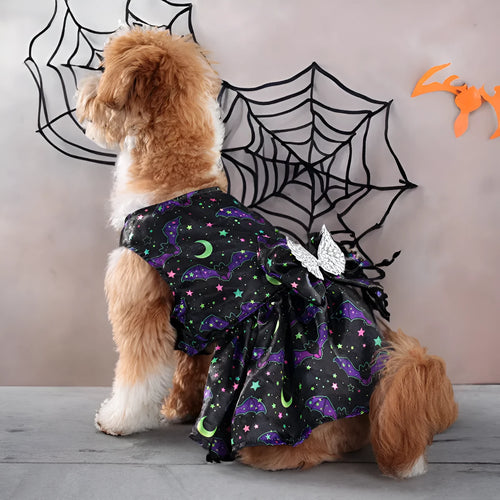 Angel wings Halloween dog costume in bright pumpkin colour, size medium on small dog