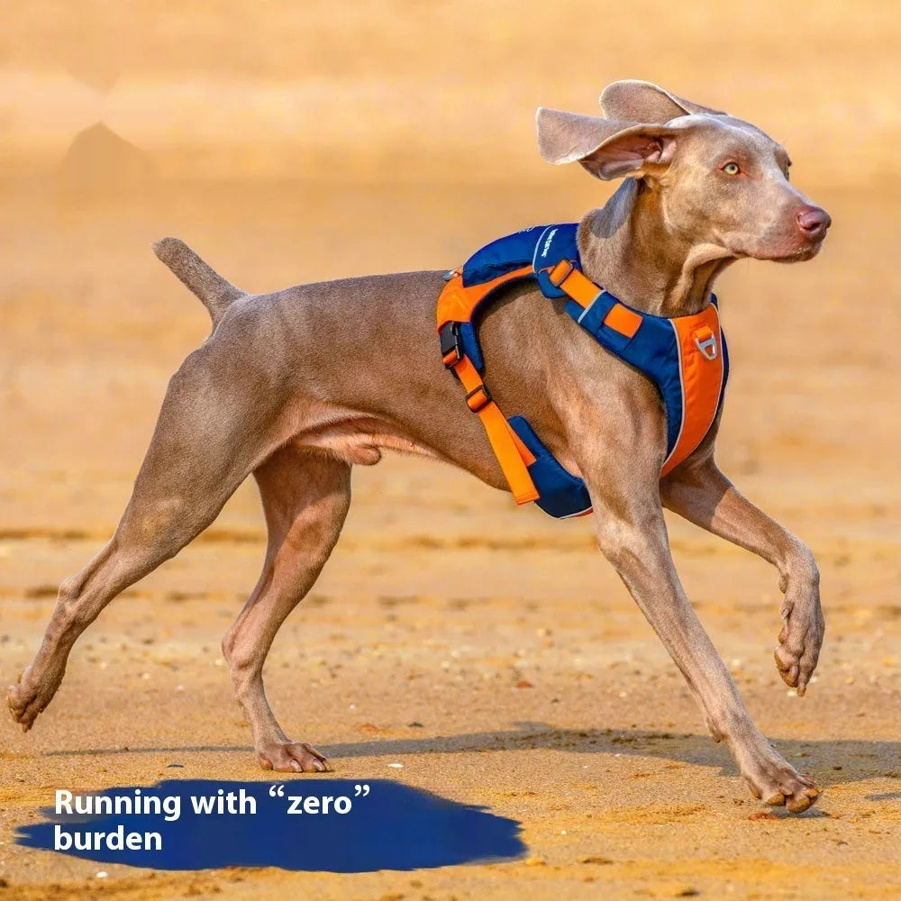 Orange blue nylon dog vest harness with hand rope attachment showing chest strap design