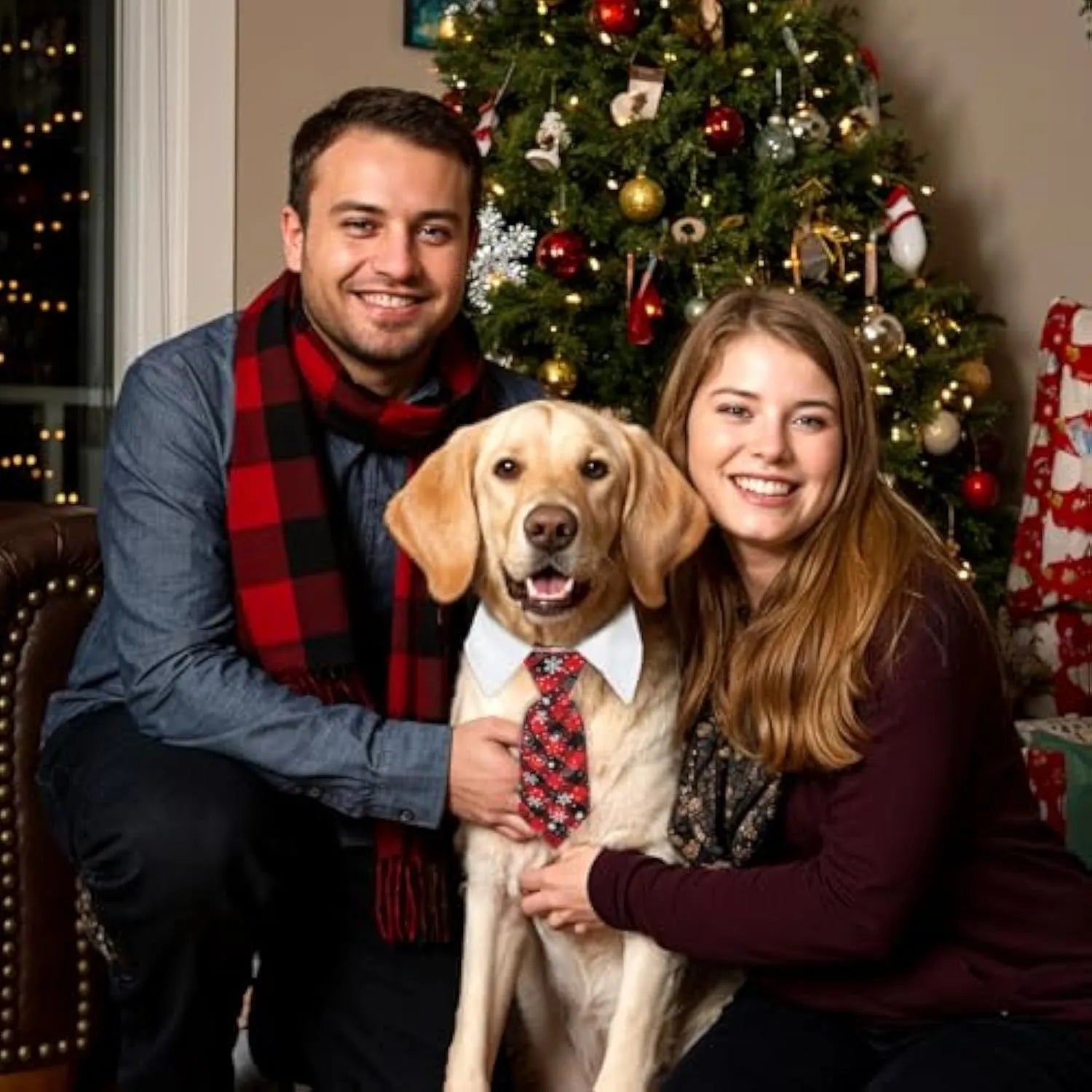 Christmas dog necktie with red plaid snowflake pattern on a small dog for festive wear