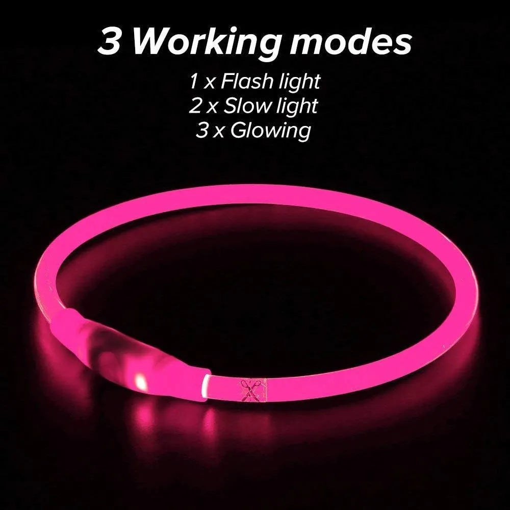 Blue USB-rechargeable LED dog collar glowing on a dog's neck at night.