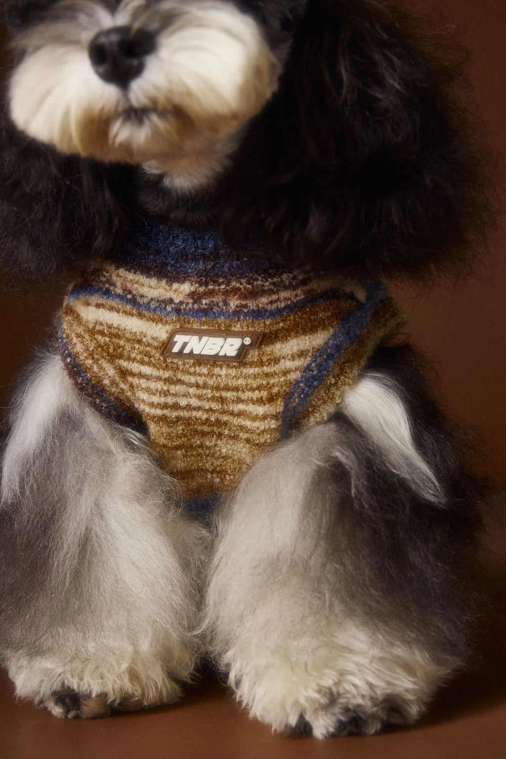 Rainbow variegated stripes sleeveless sweater vest for dogs in blue and red colours.