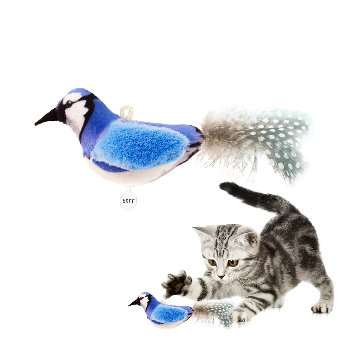 Bird simulation cat plush toy in four colour variations: colourful bird, sparrow, blue kingfisher, yellow bird