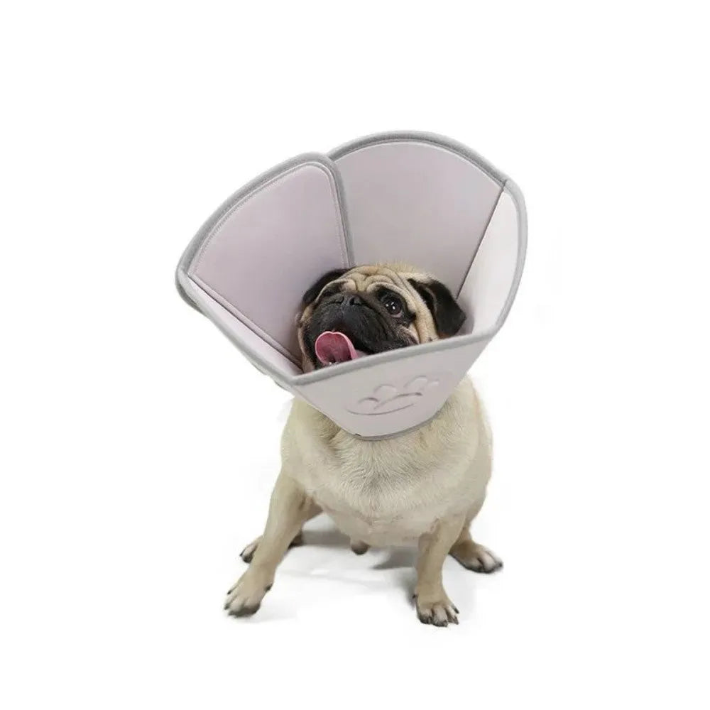 Adjustable soft cone protective collar for cats and dogs after surgery, available in multiple sizes S to XXL