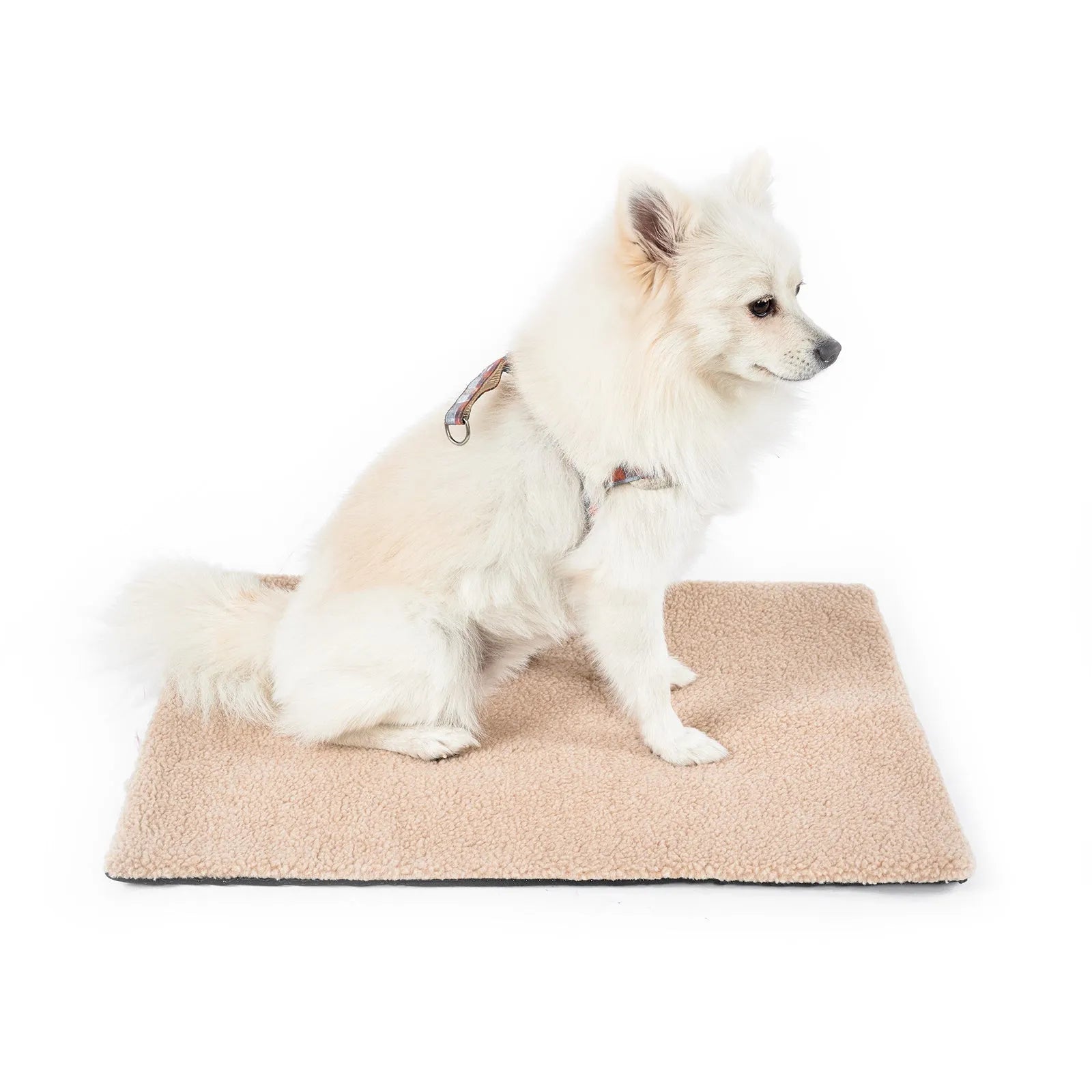 Self-heating plush pet pad for cats in grey colour showing M95x65cm size