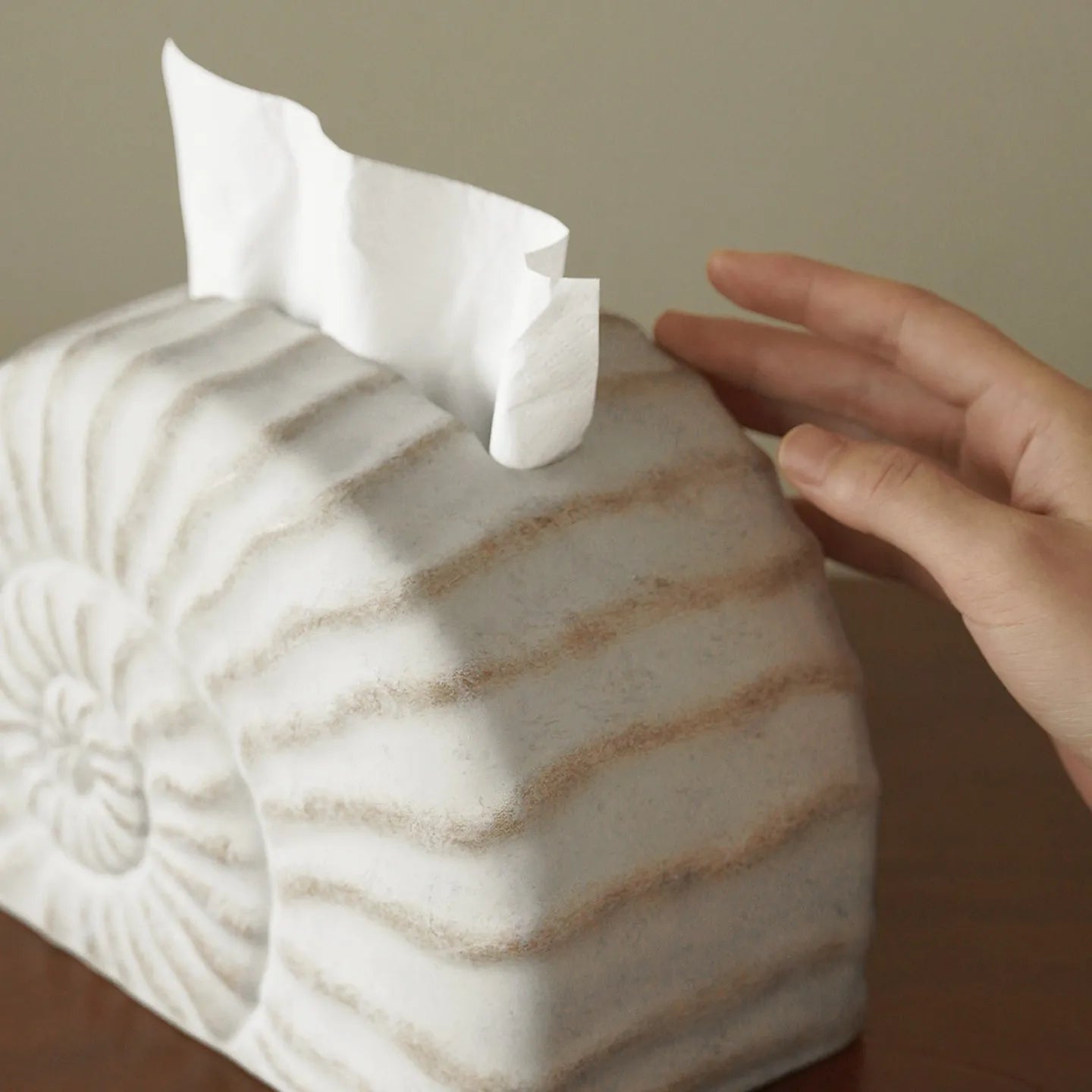 White resin tissue box cover with raised conch shell design