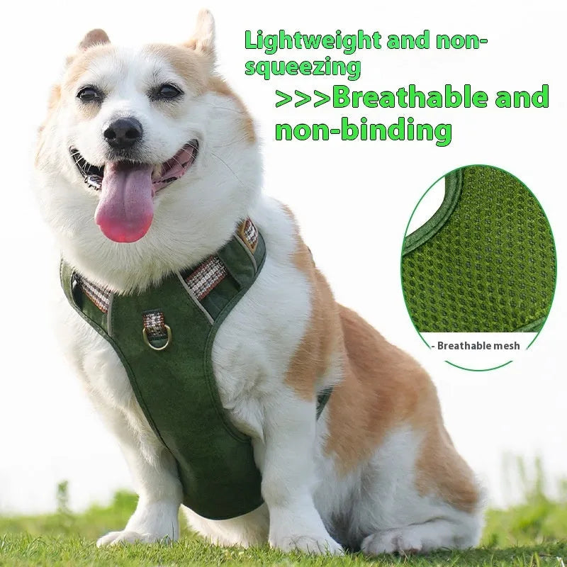 Brown leather dog harness with reflective strips and adjustable chest straps for walking safety