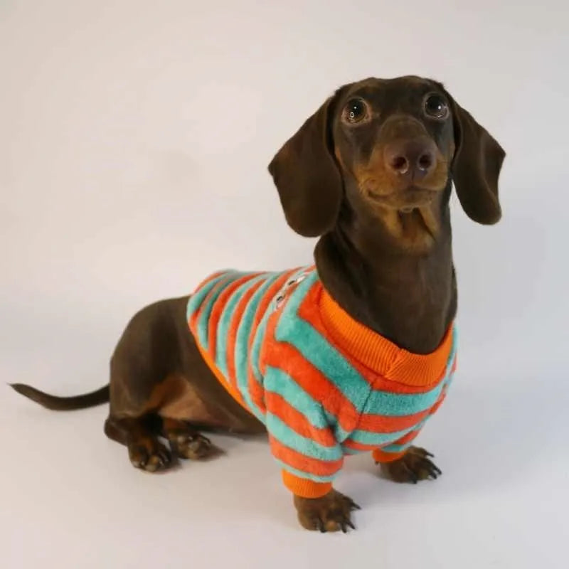 Orange-red and white striped pet sweatshirt with round neck for dogs and cats