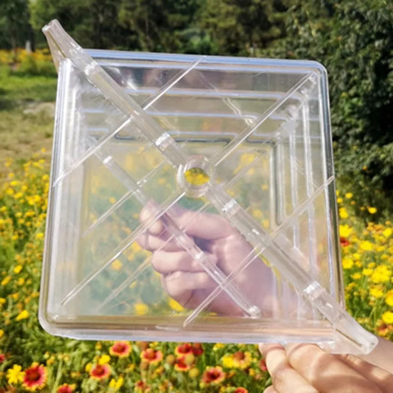 Square plastic growth mould for shaping watermelons and fruit to 13cm dimensions.