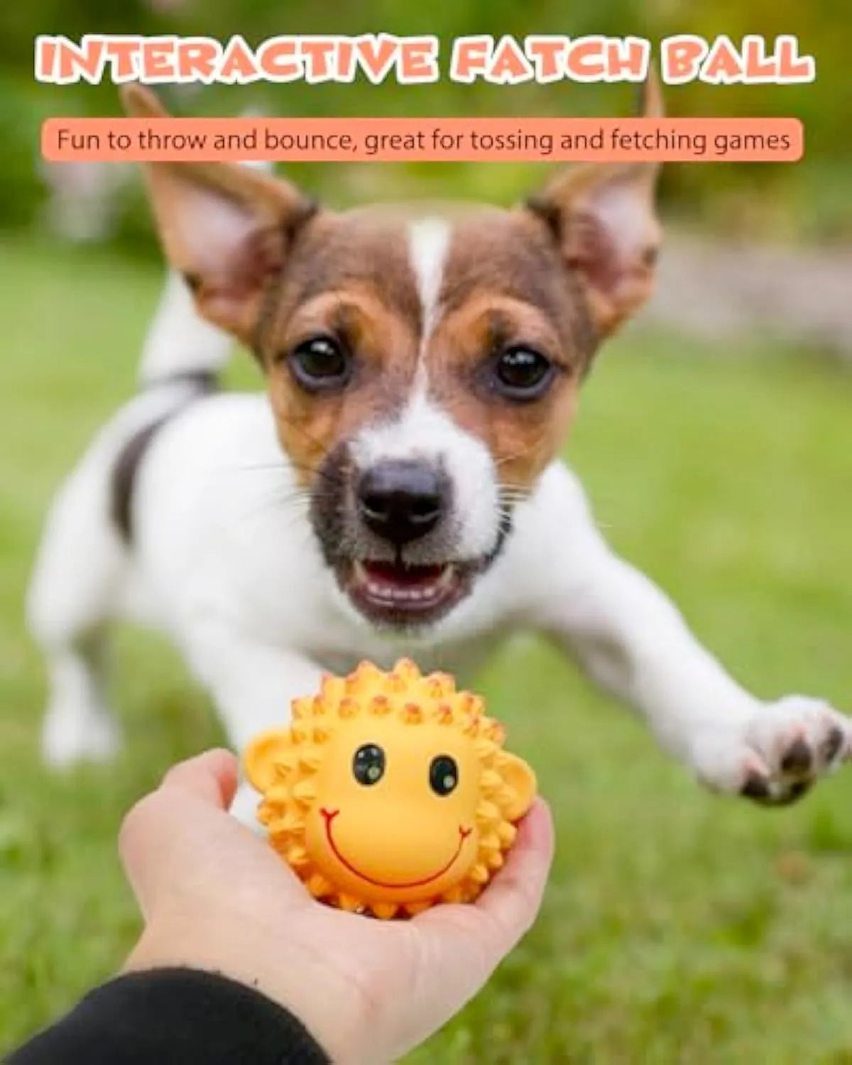Orange and yellow spiky latex squeaky dog toy for small medium breeds.