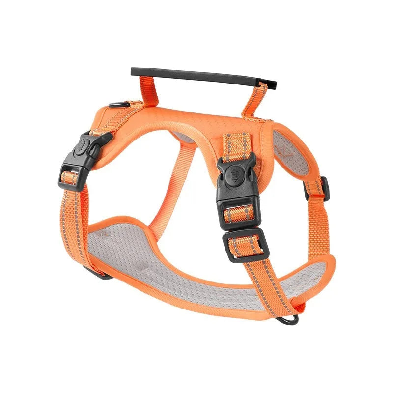 Polyester dog chest harness and lead set in various colours including red, blue, and yellow.