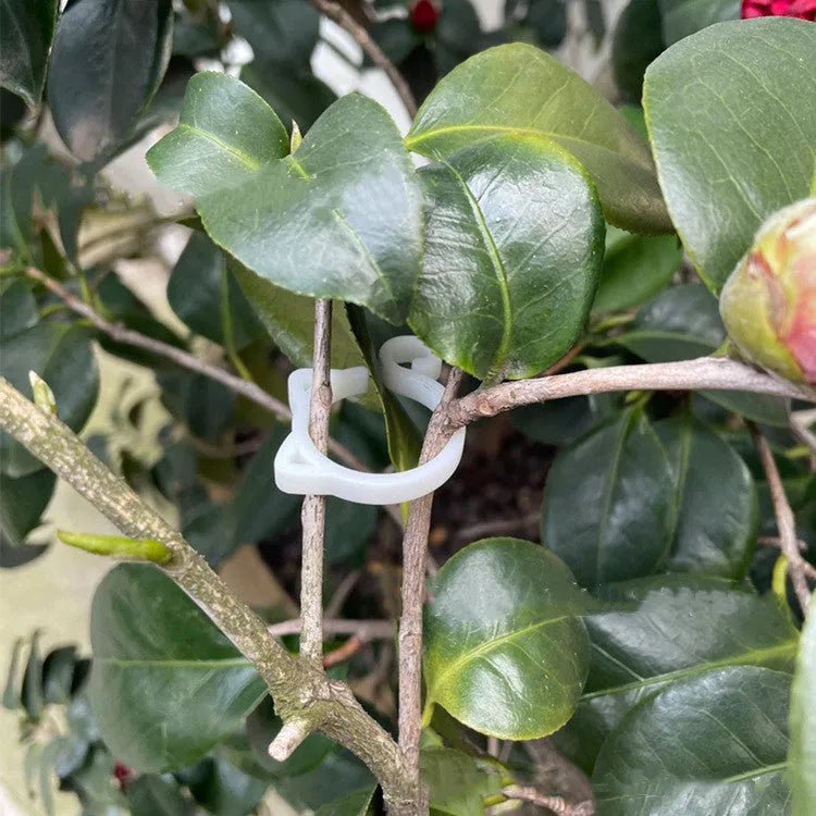 Small green plastic cat-shaped clip on a plant leaf