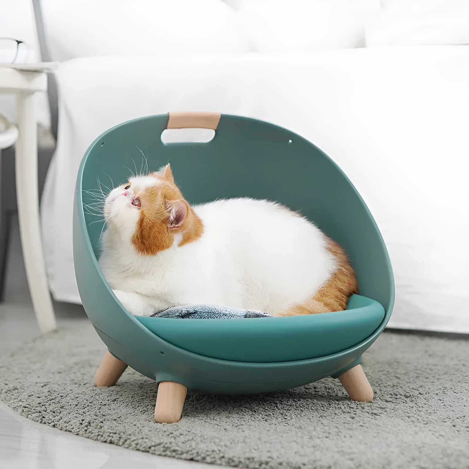 Plastic cat nest for small dogs in moss green colour, smooth surface and easy to clean