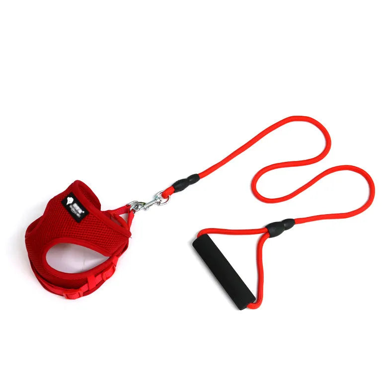 Large blue nylon dog leash and adjustable collar with a foam handle section for a medium-sized dog.