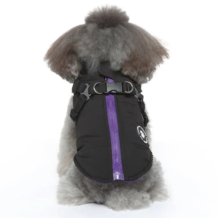 Polyester dog coat with chest strap in blue, shown on a model dog.