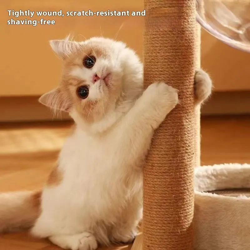 Wooden cat climbing frame with sisal scratching posts, perches, and a built-in space capsule pod in luxury colour