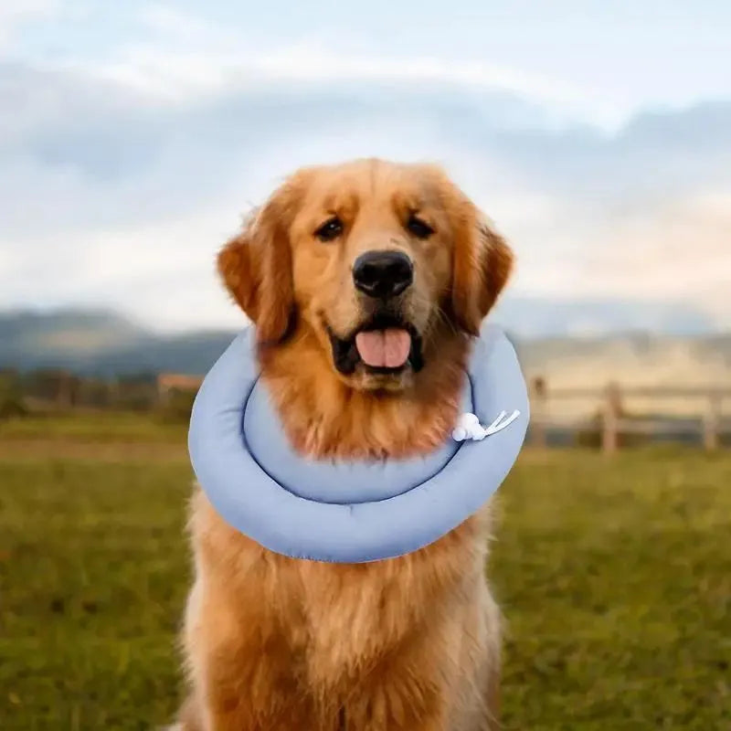 Blue adjustable waterproof Elizabethan collar for a dog showing the buckle and cone shape