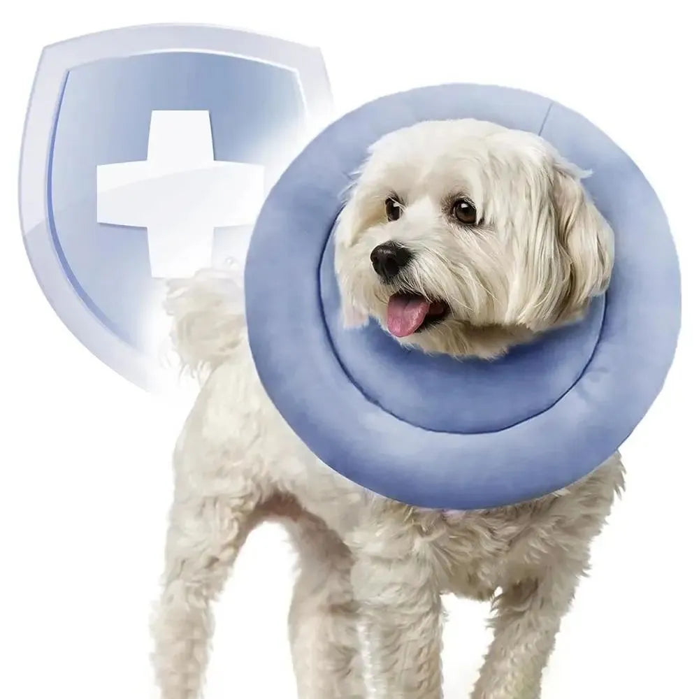 Blue adjustable waterproof Elizabethan collar for a dog showing the buckle and cone shape