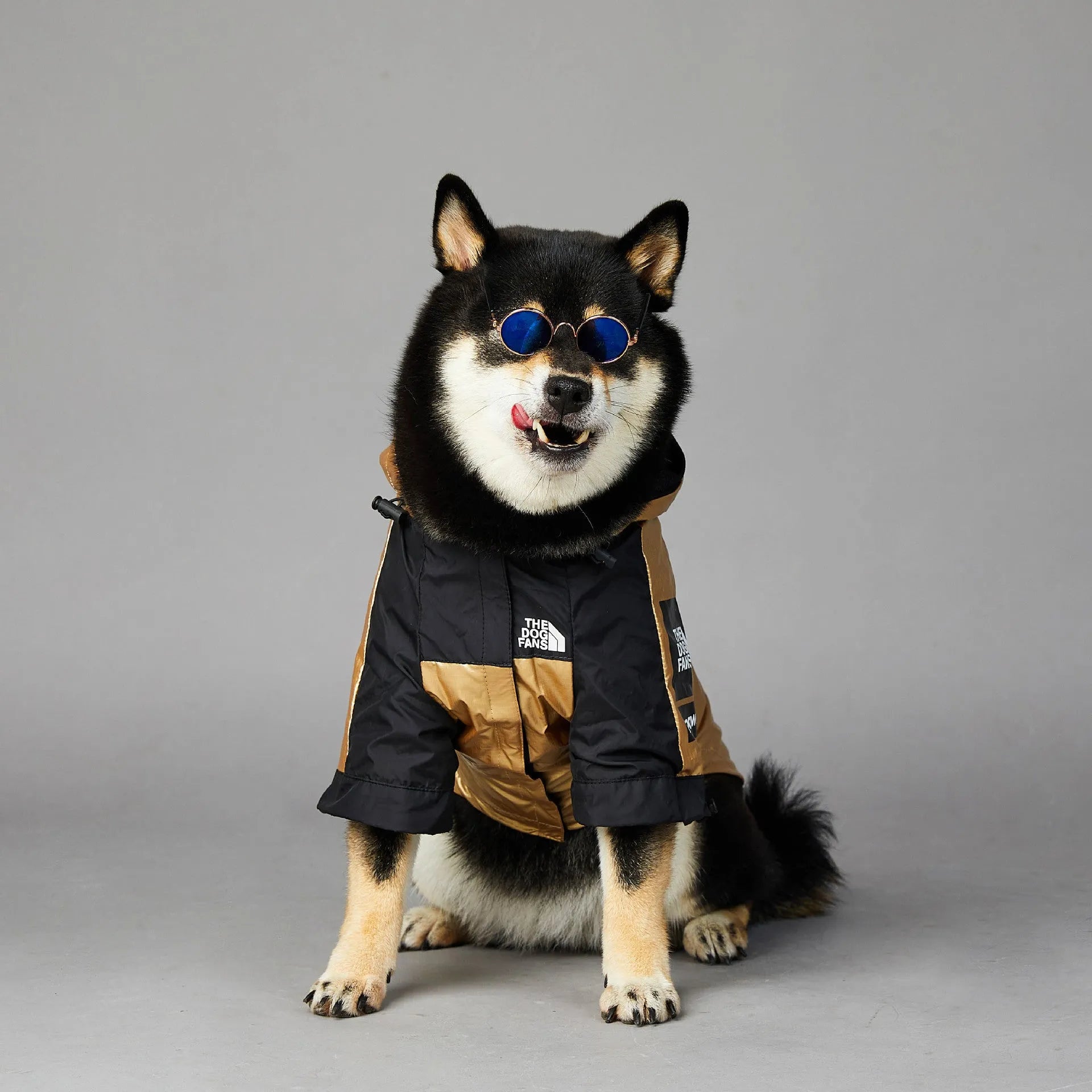 Gold polyester windproof rainproof dog raincoat shell jacket for large dogs