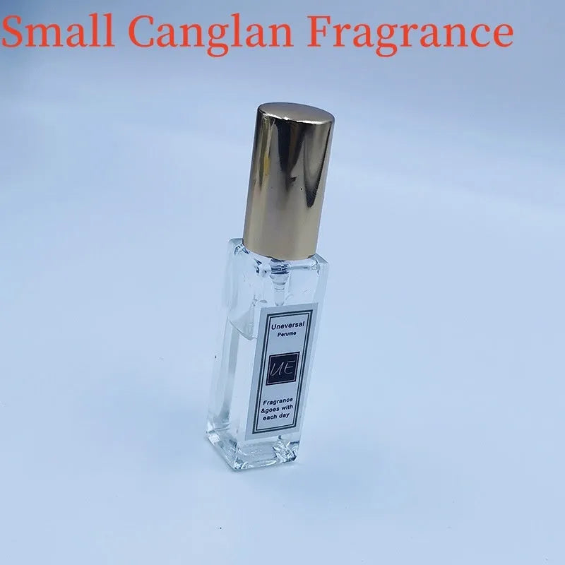 Car aromatherapy stone pendant with essential oil bottle and gift box packaging
