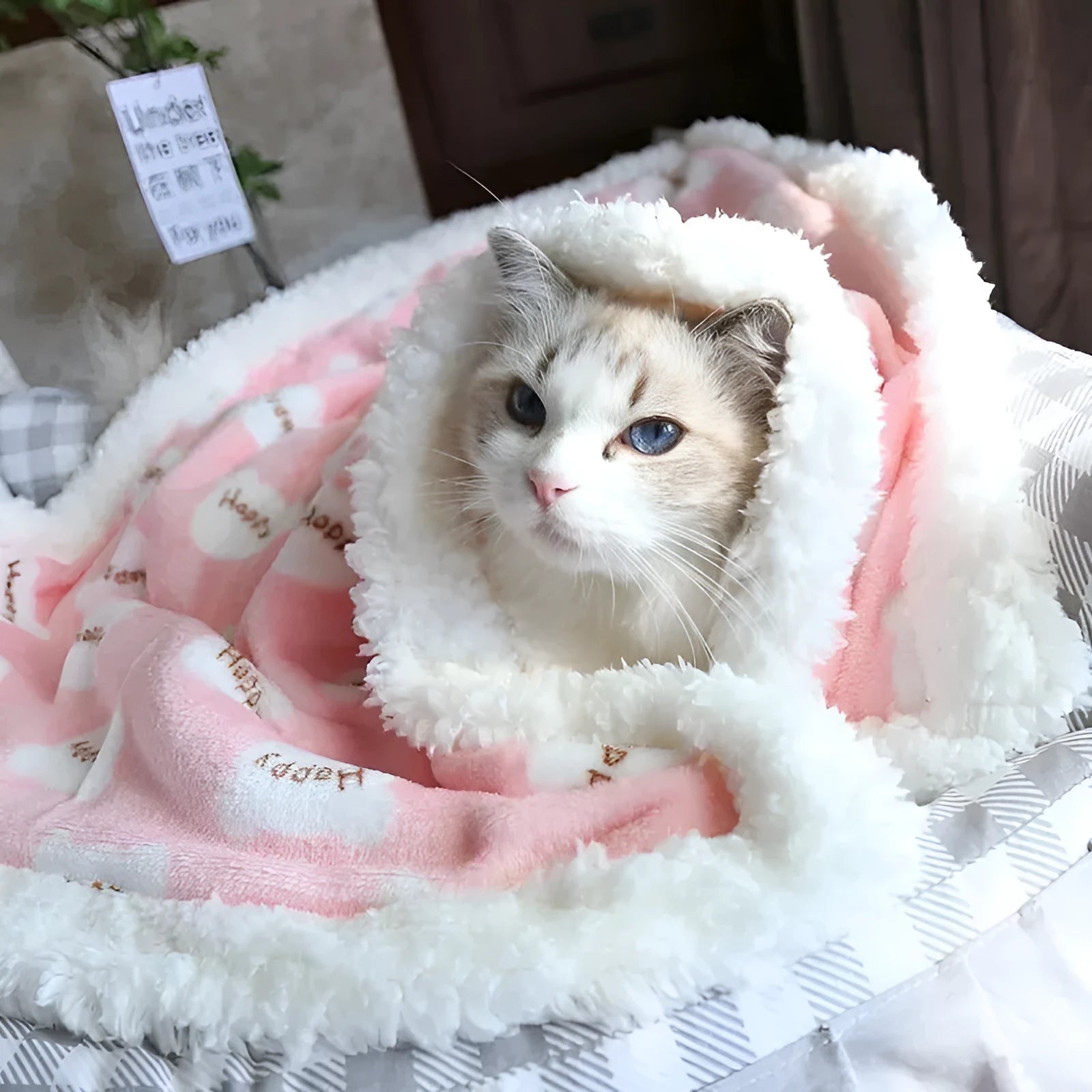 Thick lamb fleece pet dog blanket soft flannel cat cushion in blue on a wooden floor