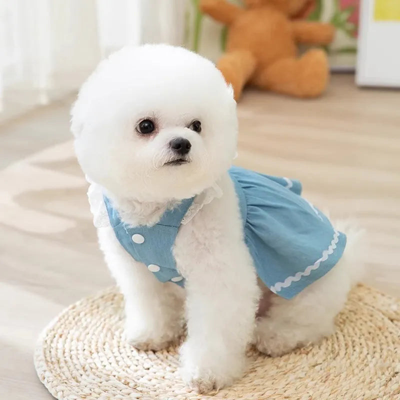 Bondi Blue strawberry print denim skirt dog clothes with traction appliqué for small dogs