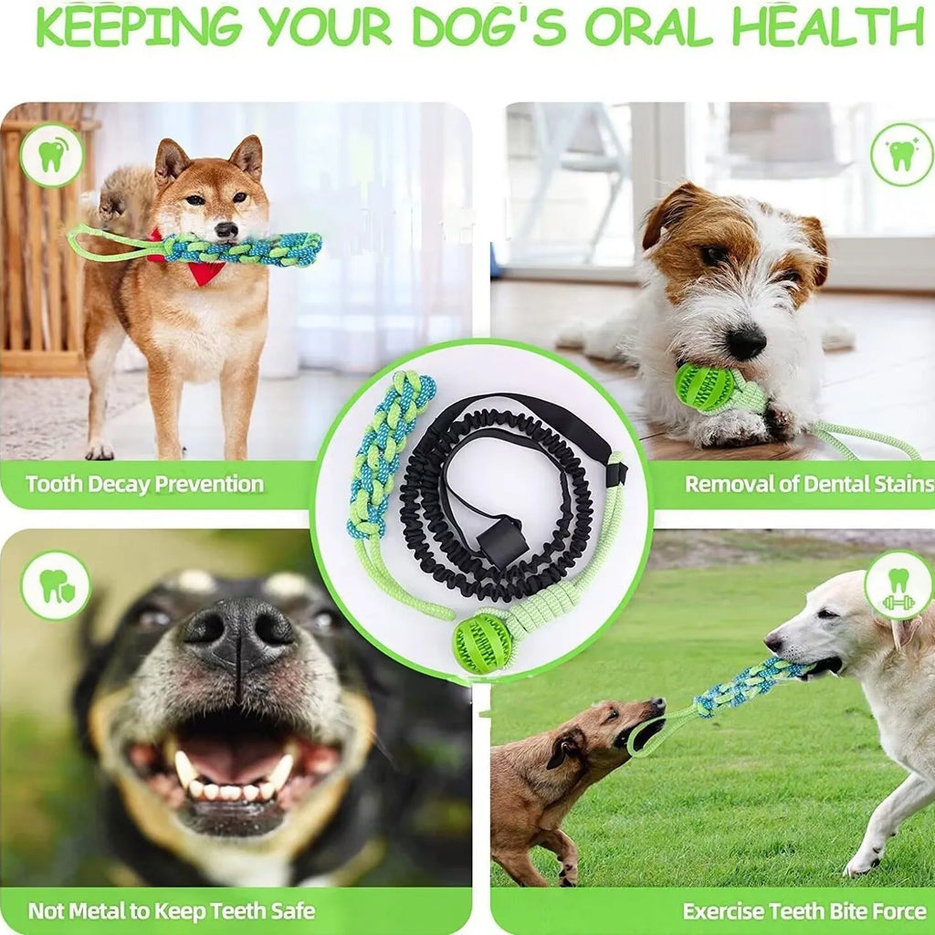 Cotton thread dog tug of war rope toy in green corncob style for biting and pulling play.
