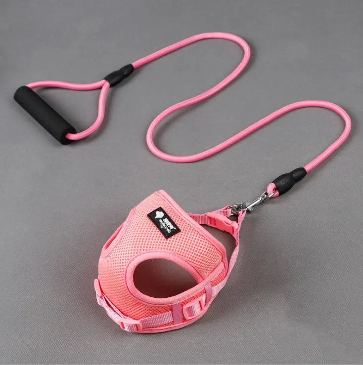 Large blue nylon dog leash and adjustable collar with a foam handle section for a medium-sized dog.