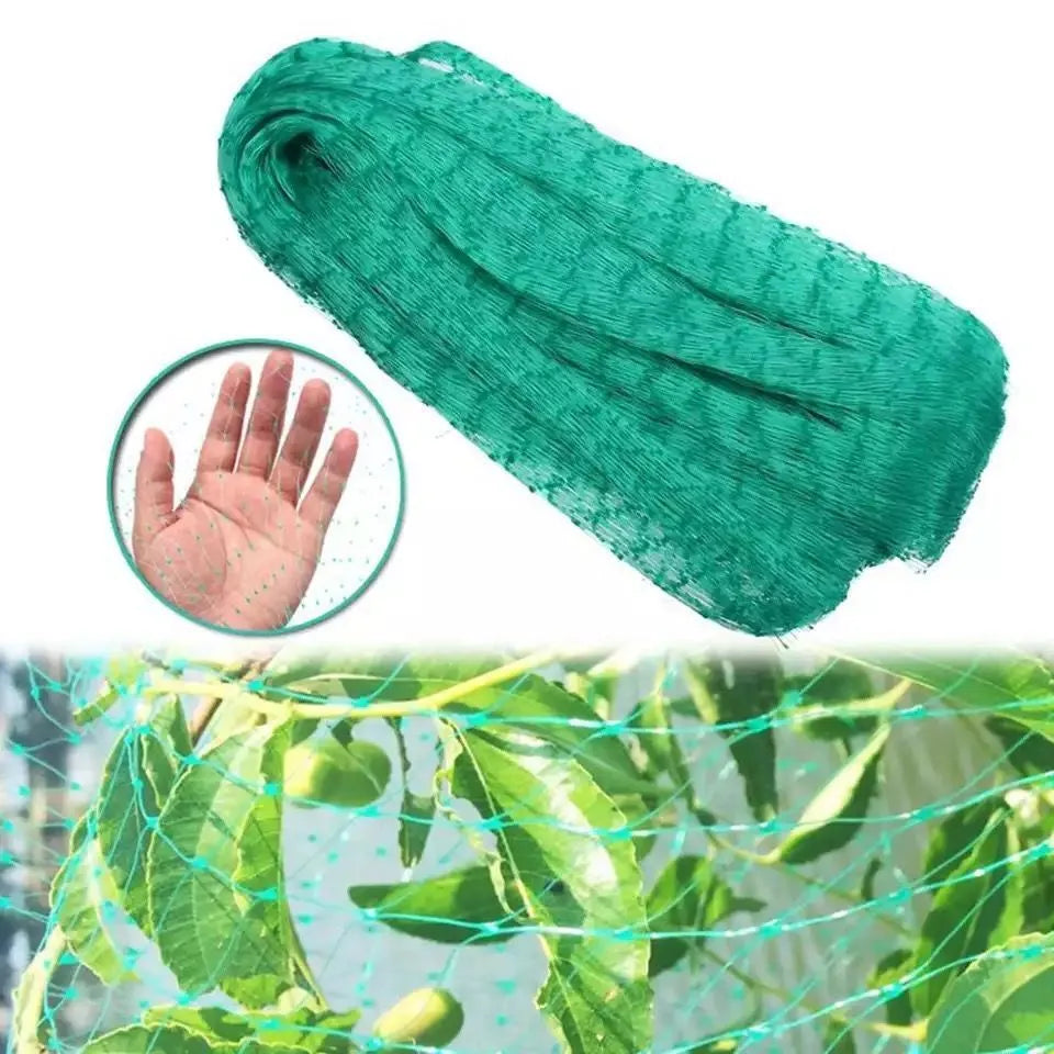 Green PP anti-bird netting draped over garden plants for fruit and vegetable protection
