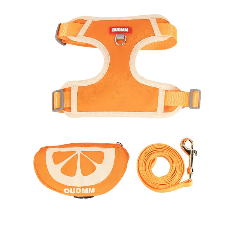 Fruit-themed pet backpack and matching chest strap set for dogs and cats in green colour