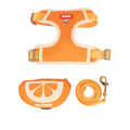 Fruit-themed pet backpack and matching chest strap set for dogs and cats in green colour