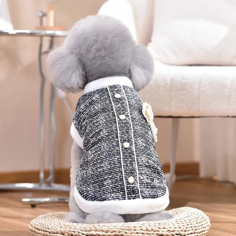 Black PU sausage dog pattern jacket on cat showing seven size options from XS to 4XL