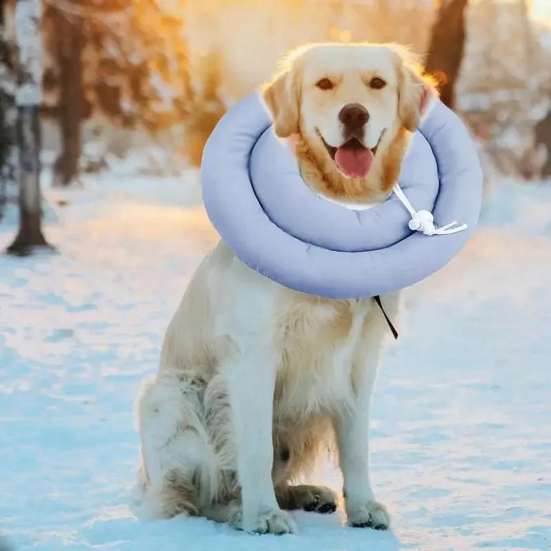 Blue adjustable waterproof Elizabethan collar for a dog showing the buckle and cone shape
