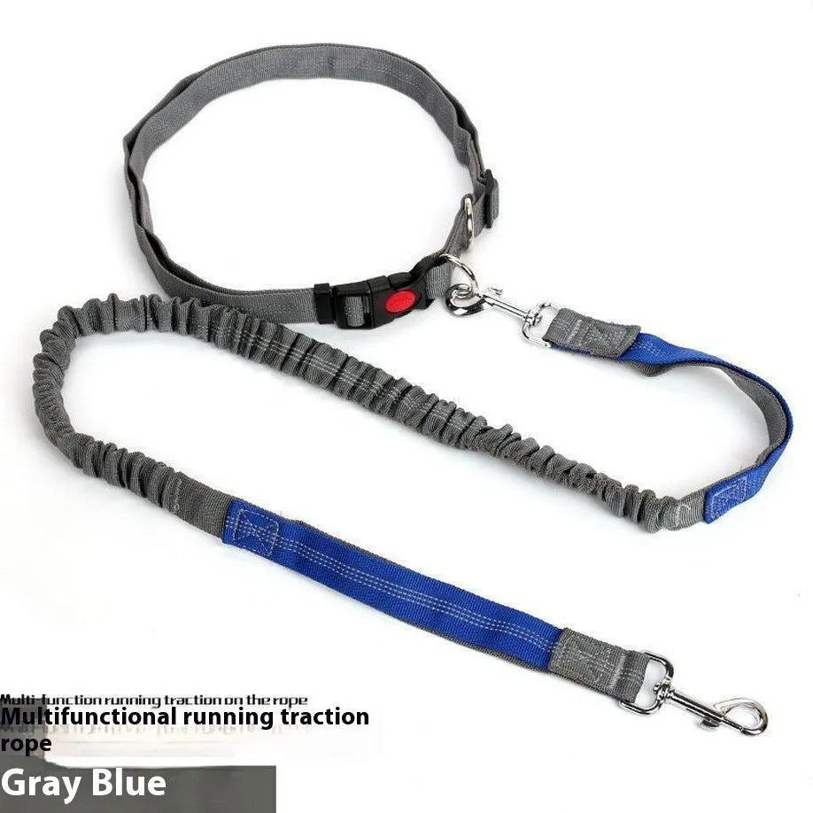 Reflective elastic dog leash in two-tone colours with 2.5cm width nylon construction