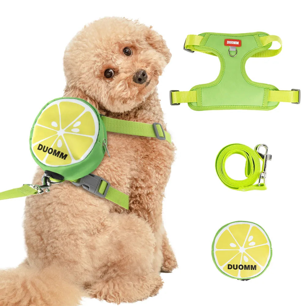 Fruit-themed pet backpack and matching chest strap set for dogs and cats in green colour