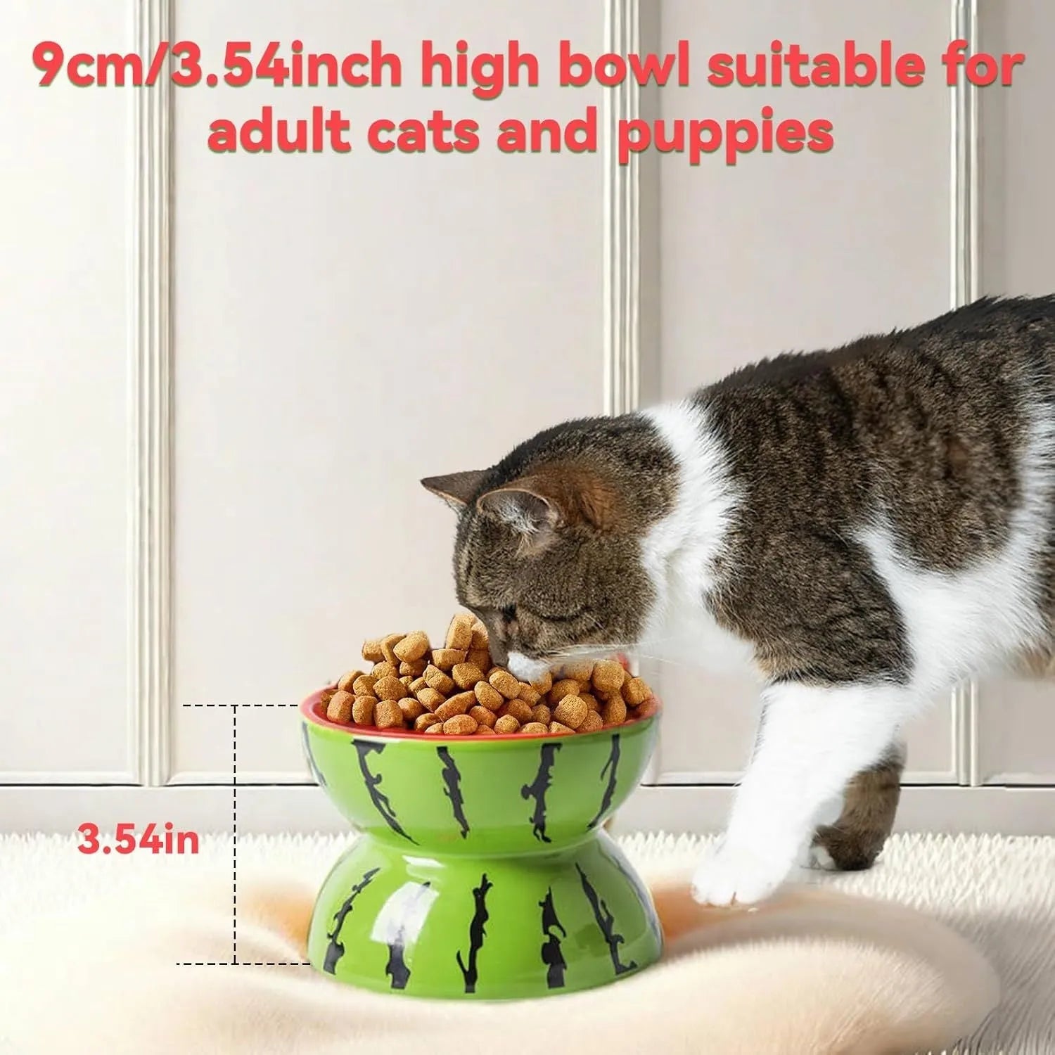 Ceramic raised cat bowl with tilted design in home setting