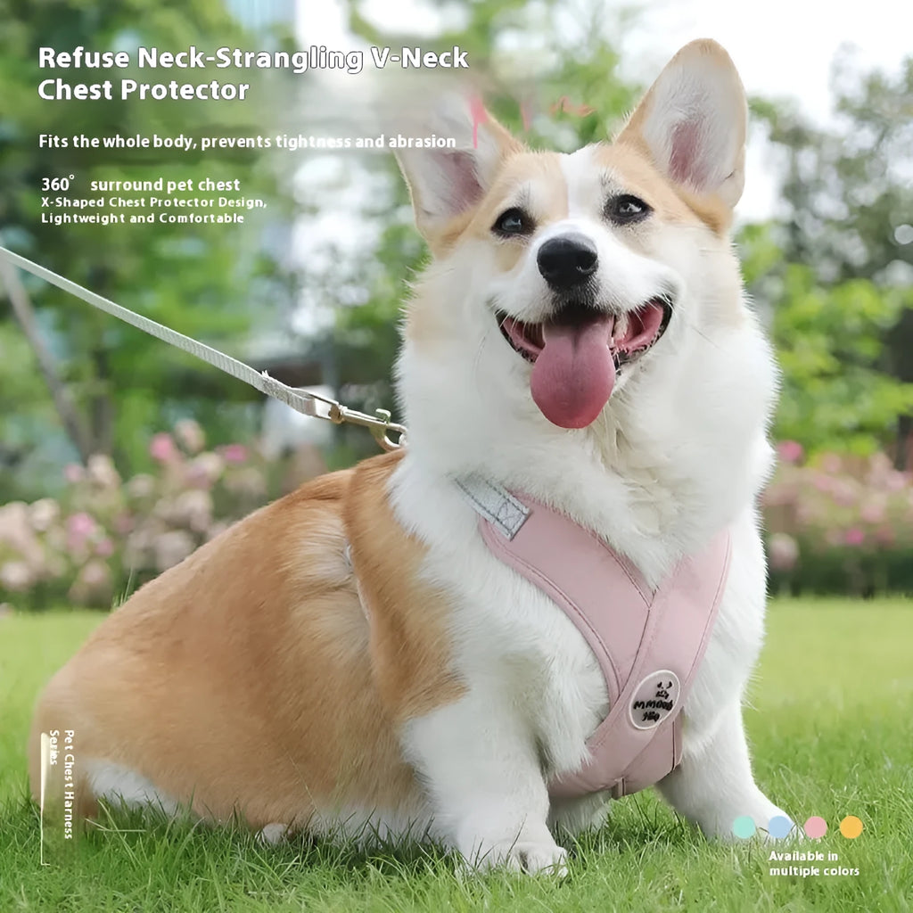 Blue dog vest with an integrated hand-holding rope leash, shown on a medium-sized dog.