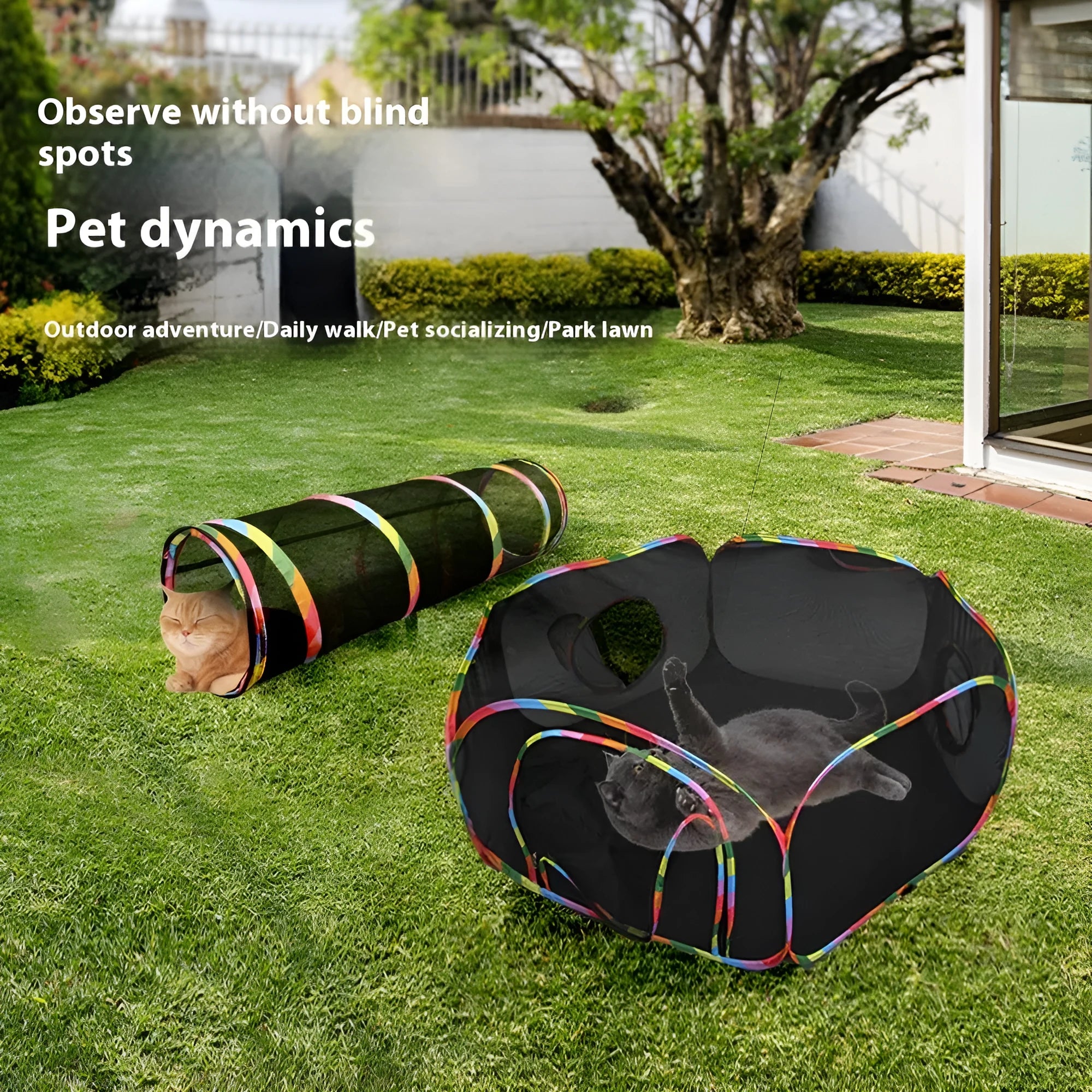 Foldable mesh cat roll cage in various configurations including squares, tent, and hexagonal designs