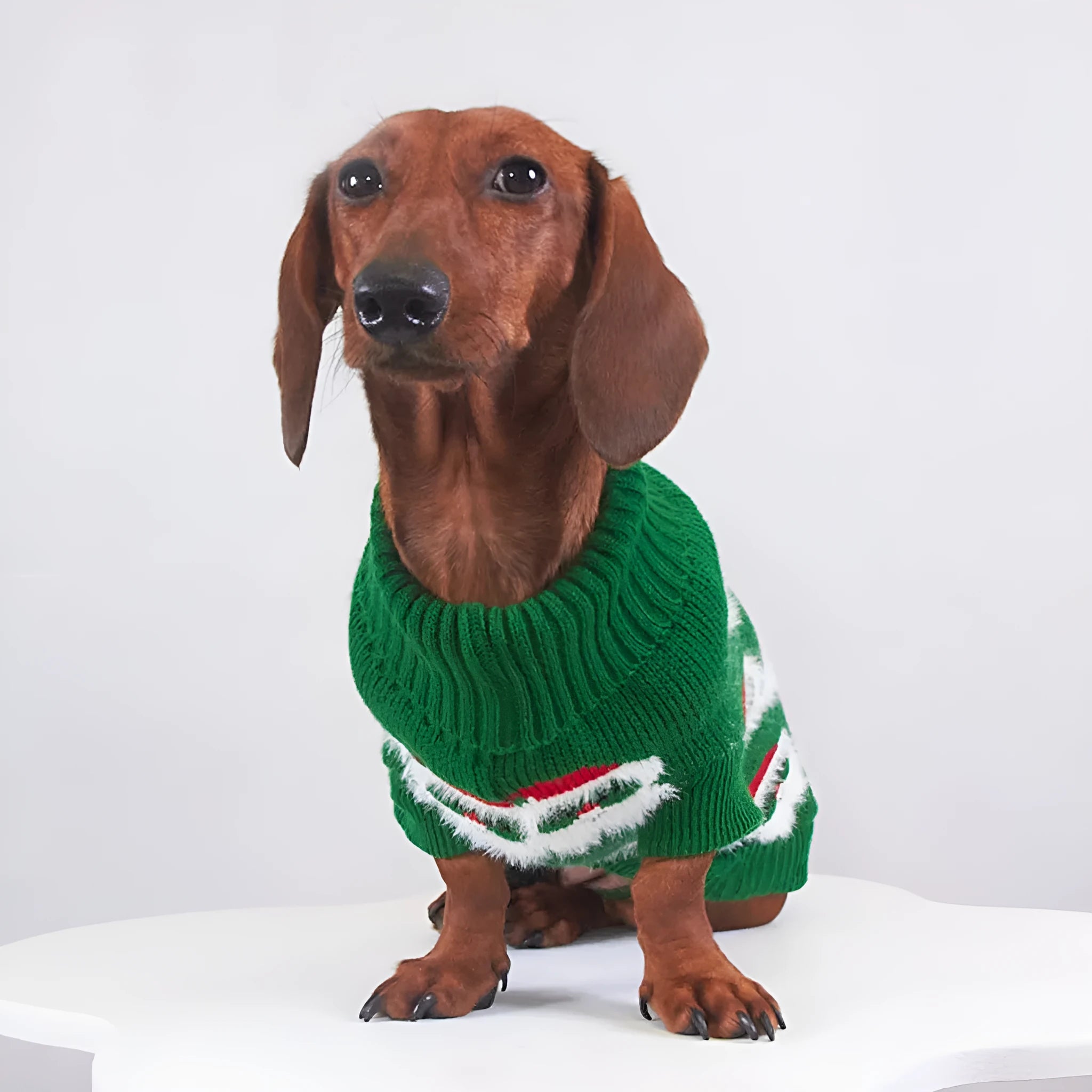 Pet Christmas mink sweater in green on a dog, casual style, soft lining for warmth
