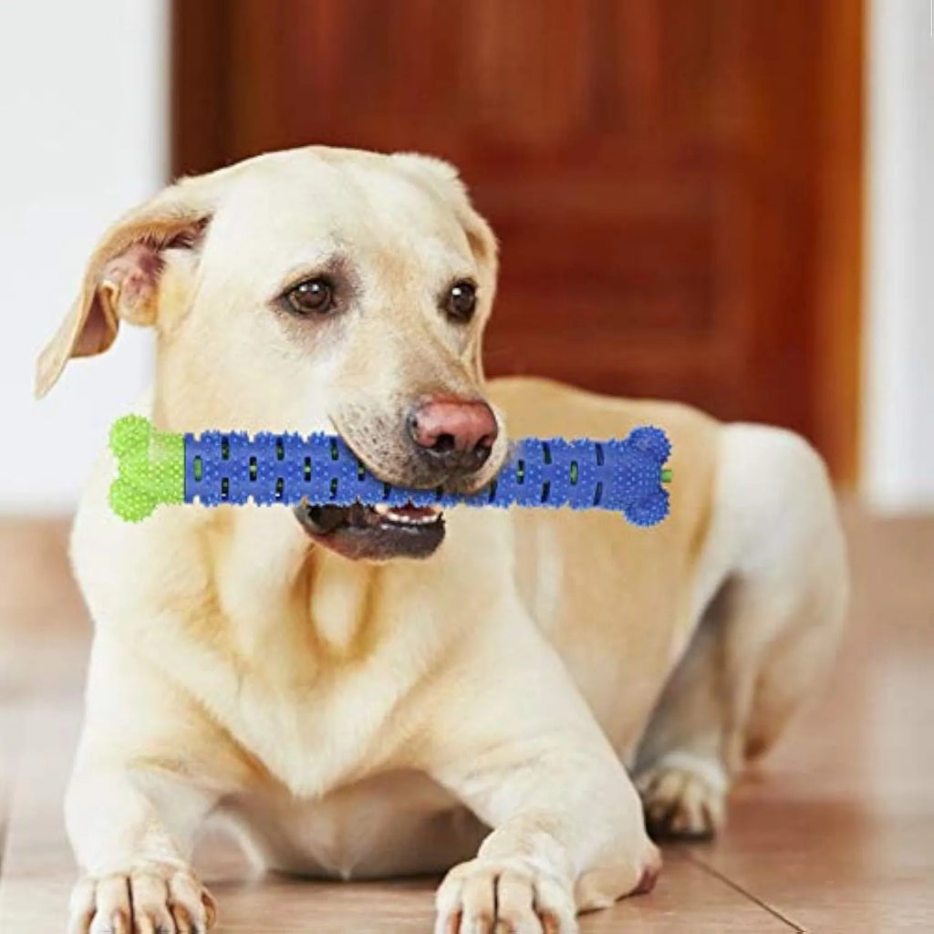 Blue and green silicone dog dental chew toy with textured brush head for teeth cleaning.