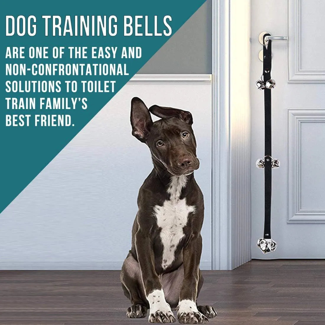 Dog training doorbell with seven silver metal bells on adjustable nylon strap
